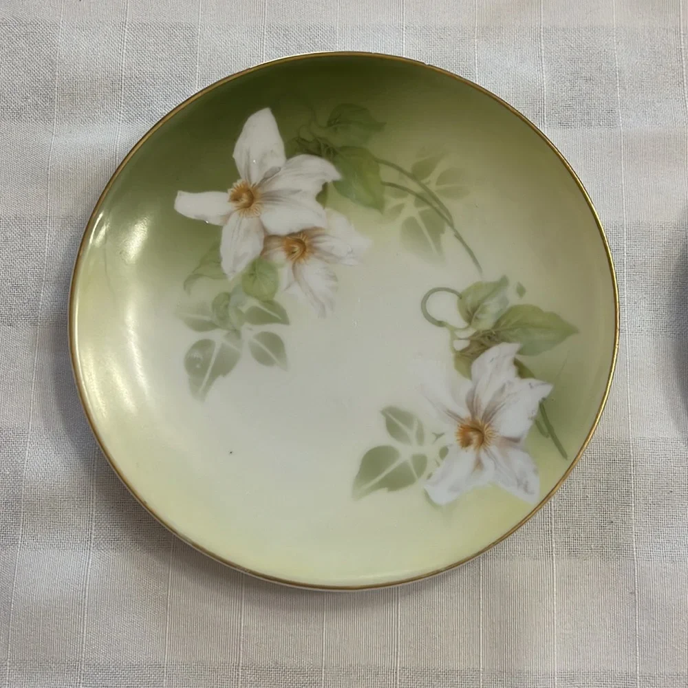 Antique delicate white floral design on porcelain plates RS Tillowitz Germany